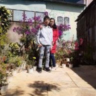 banda