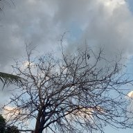 Bắc Lộ