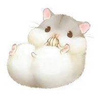 Đàm Tư Đàm