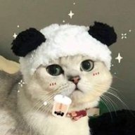 Meowijuana