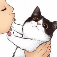 Chi vũ