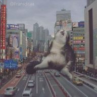 Loanmeow