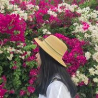 Lycauday