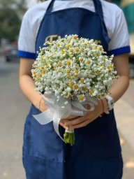 Dương Thị Tú loan