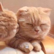 Linhlinh111