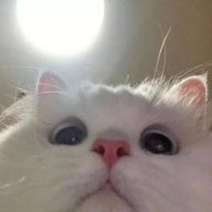 Cô Gái Ngày Hôm Qua