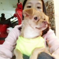 Dòng sông quên lãng