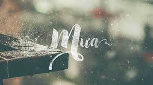Mưa mùa hạ