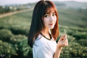 Thảo Cỏ
