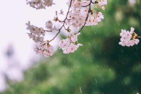 Quái Vật