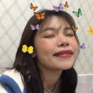 Vyvy03098