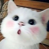 Aismihihi