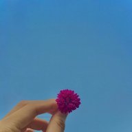 Ổ của Hòi
