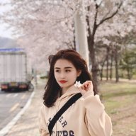 Diệp tư nhân