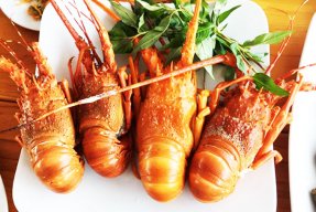 Vũ thị hồng