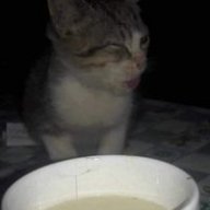 Hlahla