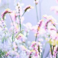 Nhược Vũ Hy Nguyệt