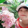 Hangdinh