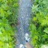 Tiểu Hid