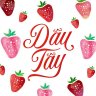 Dâu Tây 08