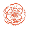 marigold