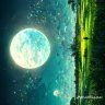 Màn Thầu Vô Diện
