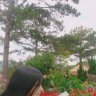 Hoa Ngưng Tuyết