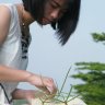 Chiếc Lá Cuối Cùng