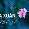 Mai Linh