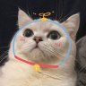 yeonghee