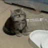 HuynJinnn