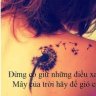 CHU CHỈ NHƯỢC
