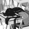 Stipud Cat