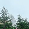 Phungtrinh195