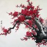 tiểu mê muội oa oa