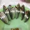 Vũ Trụ Lẻ Loi