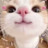 Huanhan