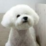 LOEYOUNG