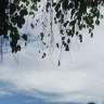 Vân Tại Thanh Thiên