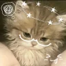 moonbuffer