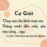 Hướng dương rực rỡ