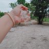 Mây Trắng