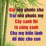 sautaoee