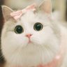 Mieuniang