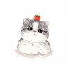 Meo Meo 2524