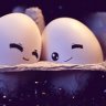 Điệp Điệp Ngọc ĐỖ