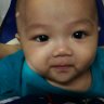 phungbichtruong