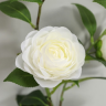 annhien90
