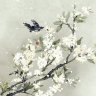Phược Thiên Yên Nhã
