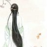 Tam Thất